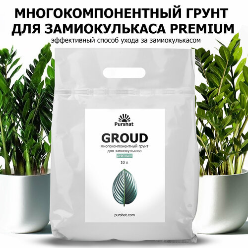 ���� ����������������� ����� Premium ������ 10 � � ������� ������� ��� ������������� � ���������, ������ �� 1134 ���