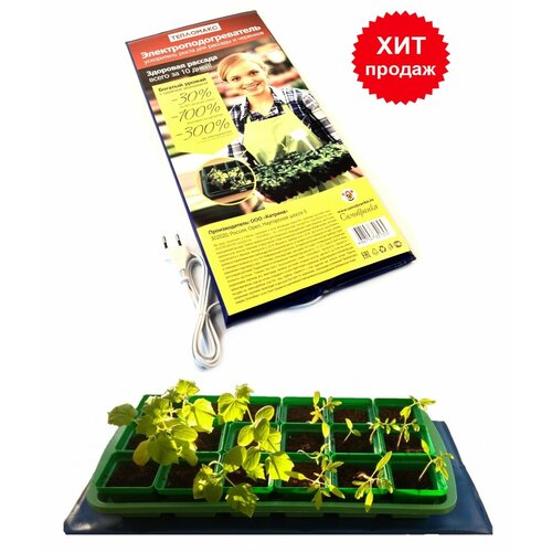 ���� ������ � ���������� 