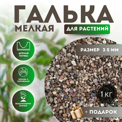 ���� ����� ������ ��� �������� ������� - ������ ������, �����, ��� ������� � �������� �����, 1 �� ������ 3,0-5,0 �� . ����� � ����� ��� ������� ��� ������������ ������� ��� ���������� ��� �������., ������ �� 250 ���