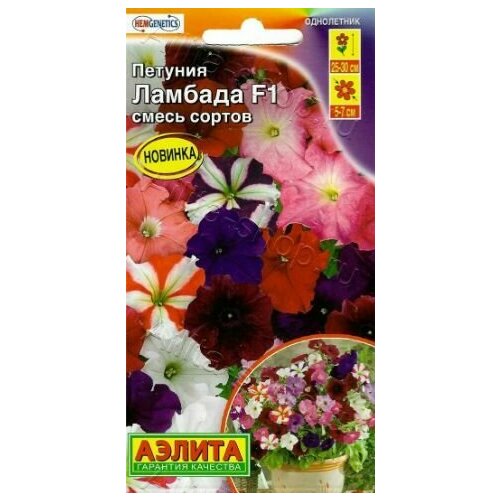     F1 ( 1  ) ,  ,   309 