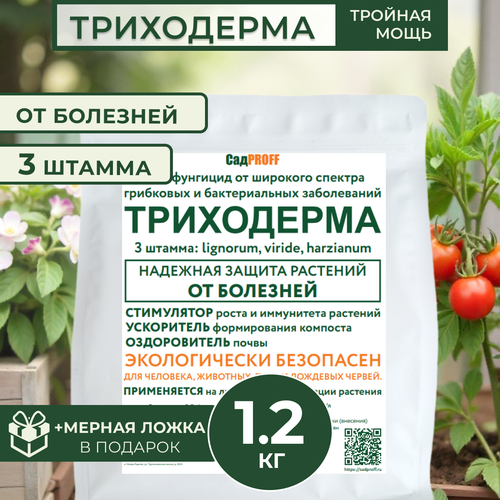 ���� ���������� 3 ������ , 1200�, ������ �� 1550 ���