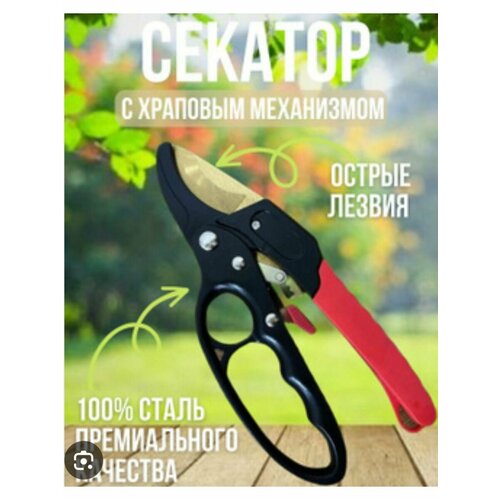 ���� ������� ��Express, ����������������, � ����������, ����� SK5, �����-�������,, ������ �� 660 ���