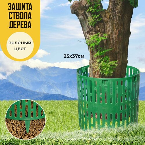 ���� ������ ������� ��������, 15 ��, ������� �������� ��� ���� ������������, ����� ��� ��������, ��������� ����� �������, ������ ��� ����, ������ �� 814 ���