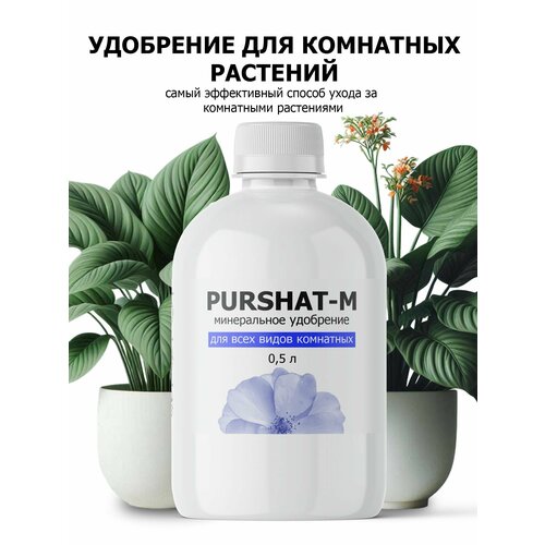        (Purshat) 500 ,   582 