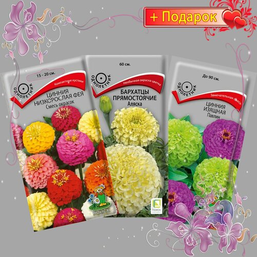 ���� ����� ����� ������, ������ �������, ������ �����������, �������� ������������, 3��., ������ �� 374 ���