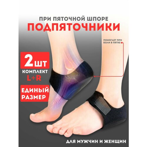 ���� ����������� ������������ ��������������, ������ �� 430 ���