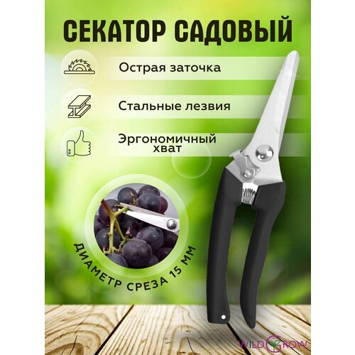 ���� W-GROW ������� ������� ��� ����, ������ � ��������� ��������, ������ �� 369 ���