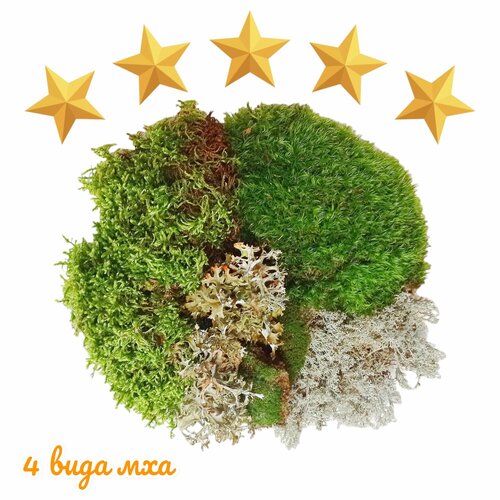 ���� ����� �� 4 ����� ���. ��� ��������, ��������, ��������, �������. ����������� �����., ������ �� 1229 ���