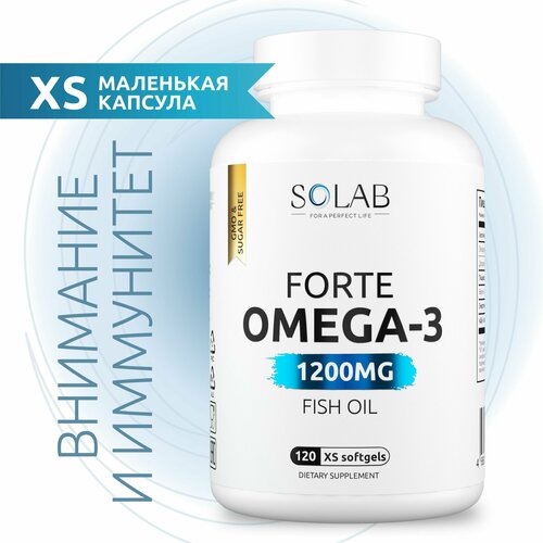 ���� �����-3 � ���� �������� 60%, XS 1200 ��, ��� ������, ����� � ����������, 120 ��, ������ �� 655 ���