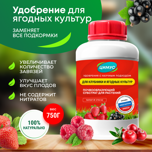 ���� ����� - ������� ��������� ��������� ��� �������� � ������� �������, ������ �� 795 ���