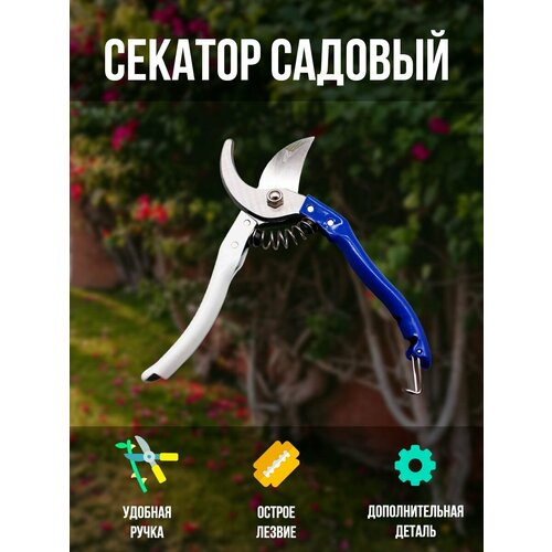 ���� ������� ������� ����� ���������������� ��� ���� � �������, ������ �� 799 ���