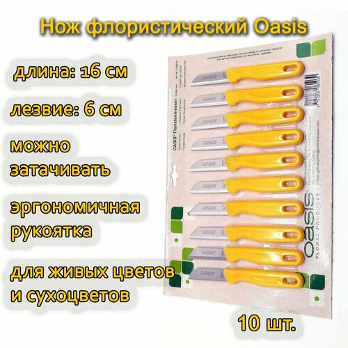 ���� ��� �������������� Oasis, 10��./ ����� ��� ��������, ������ �� 3110 ���