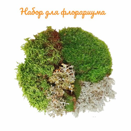    . 4  .  , , , .  .,   1299 