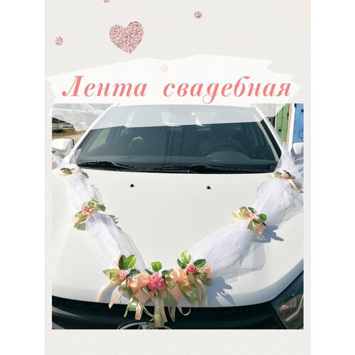 ���� ��������� ����� �� �����. ��������� �� ��������� ����������., ������ �� 1510 ���