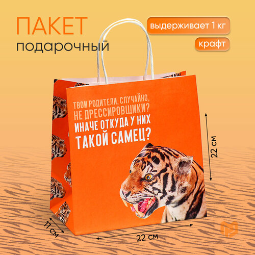 ���� ����� ���������� ������� �������, 22 � 22 � 11 ��, ������ �� 220 ���