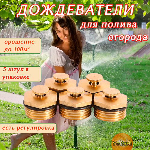 ���� ��������������� ��� ������ Yoltash ����������� �������� �������� ��� ������ ����, ��������� ������� 5 ���� � ���������., ������ �� 621 ���