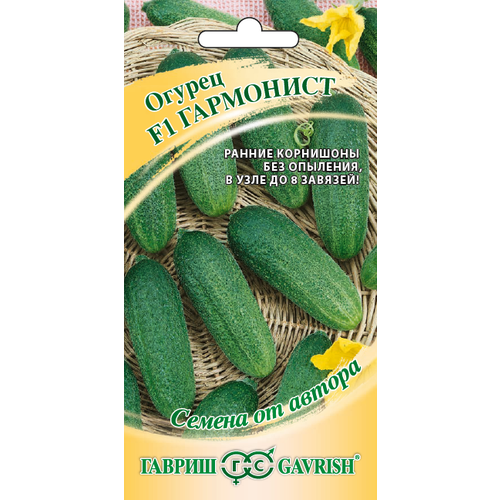 ���� ������ ������ ��������� F1 10 �� ������������������ (������) �����, ������ �� 55 ���