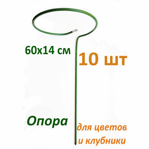 ���� ����� ��� ������ 10 ��, ������ �� 899 ���