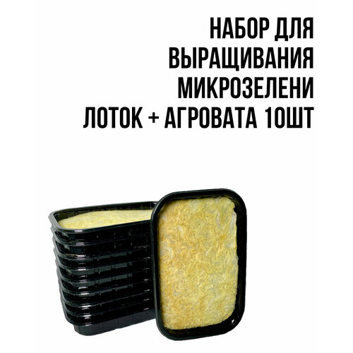 ���� ����� ��� ����������� ���������� (��������+�����) 10��, ������ �� 500 ���