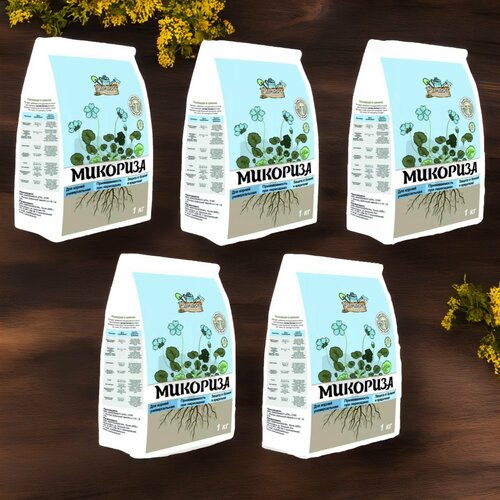 ���� �������� ������� ����� 1�� / 5��. ������ ��������, ������ �� 905 ���