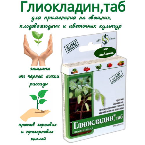 ���� ����������, �������� ��� ������� ������ ������ ����� � �������� �����, ������ �� 112 ���