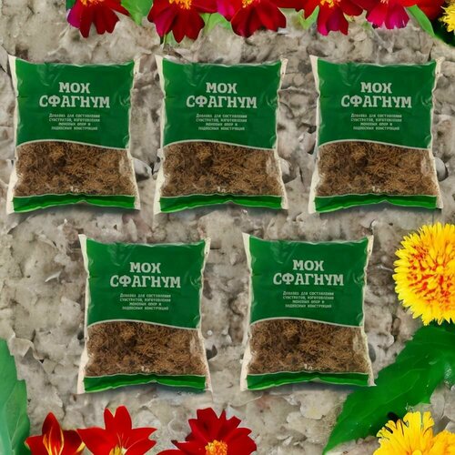 ���� ��� ������� 1� / 5�� ��� ��������. �������������, ������ �� 405 ���