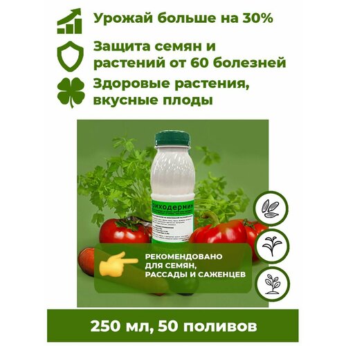 ���� ���������� ���������� - ����������� ������ 250�� ����������� ��������� ��� �������� ������ ����. ����� �������� �� ����� 60 ��������, �������� ����������� �� 30%., ������ �� 414 ���