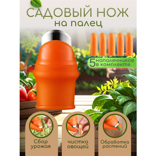 ���� ������� ��� ���������� ����������� � �������� �������, 6 ���������, ������ �� 200 ���