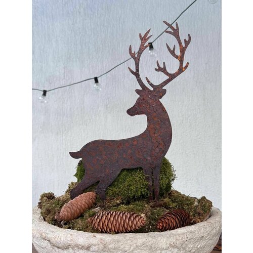 ���� ������� ������� ��� ���� � ������� ����� �� ���������, ������ �� 910 ���