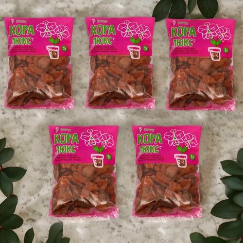 ���� ���� ��������� ����� ���� 2�, ������ �� 680 ���