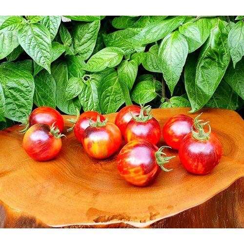      (Marchenglanz) / Seeds And Goods /   zip-lock   10 ,   269 