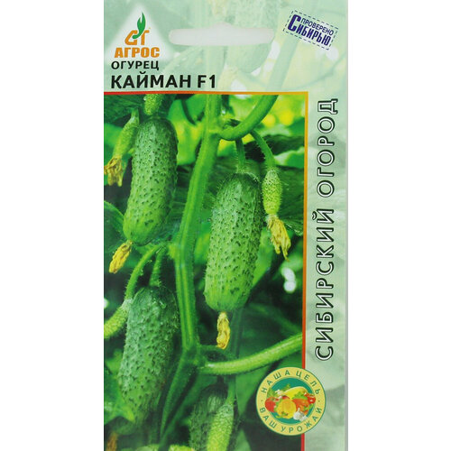 ���� ������ ������ ������ 8�� ������������������ ������ (�����), ������ �� 61 ���