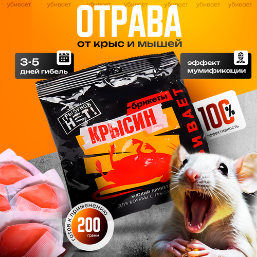 ���� �������� �� ����� � ���� �������� 