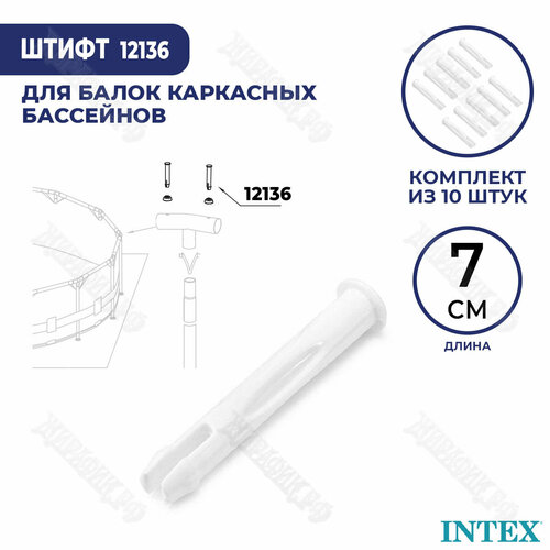     Intex 70  12136 (- 10 )   -     , -, 