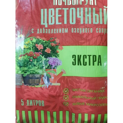 ���� ����� ��� ������ ����� ����� � ����������, 5 �, ������ �� 205 ���