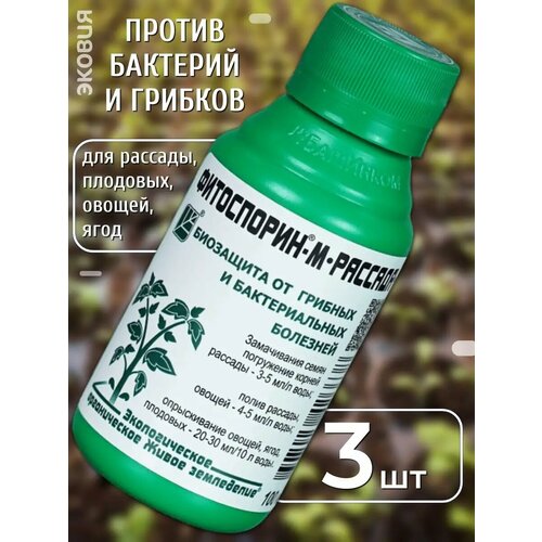 ���� ��������� ��� ������� ���������� � ������� 3 ��, ������ �� 302 ���