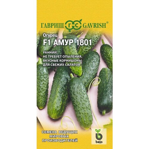     1801 F1 5  (),   126 