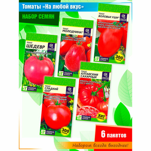 ���� ����� ����� ������� 