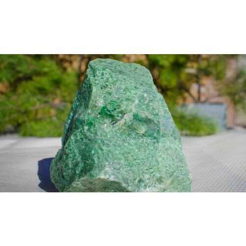 ���� ������ ��� ���� ������ ������� 10 ��, ������ �� 1390 ���