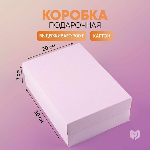 ���� ������� ���������� �������� ��������, 30 ? 20 ? 9 ��, ������ �� 239 ���