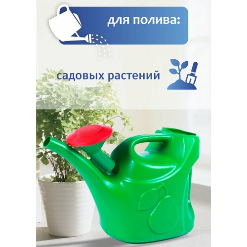 ���� ����� 6,0� � ������������� ���������, ������ �� 482 ���