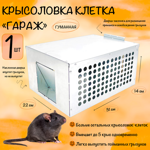   ,   , , ,  , , 1 ,   1417 