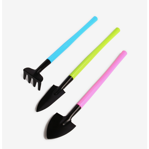 ���� ����� �������� �����������, 3 ��������: ������, 2 �������, ����� 21 ��, ����������� �����, ������ �� 425 ���