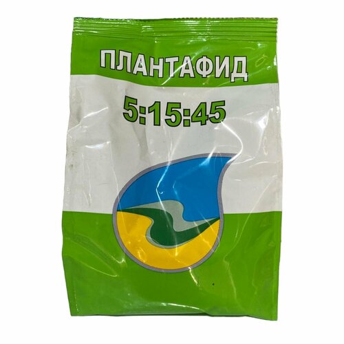 ���� ��������� 