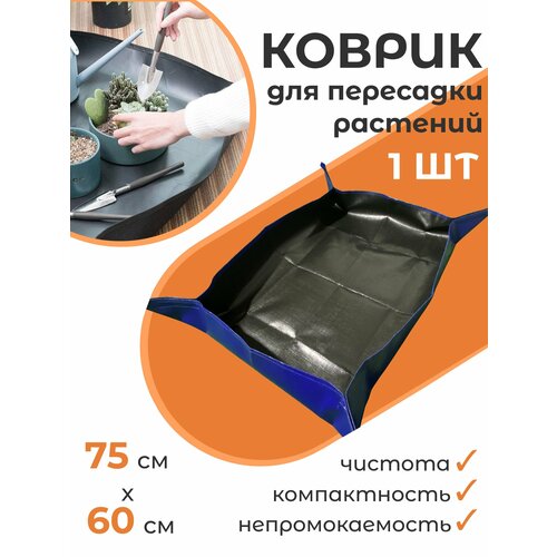 ���� ������ ��� ��������� �������� 75�60 �����������, ����� ����������� ���������� 1 ��, ������ �� 665 ���