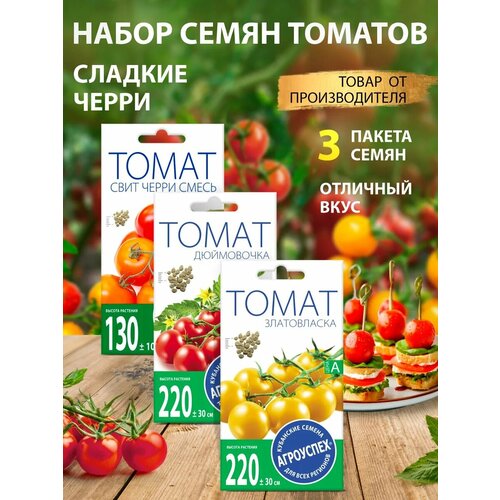 ���� ������ ������� ����� �����, ������ �� 219 ���