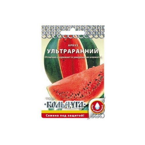 ���� ����� 