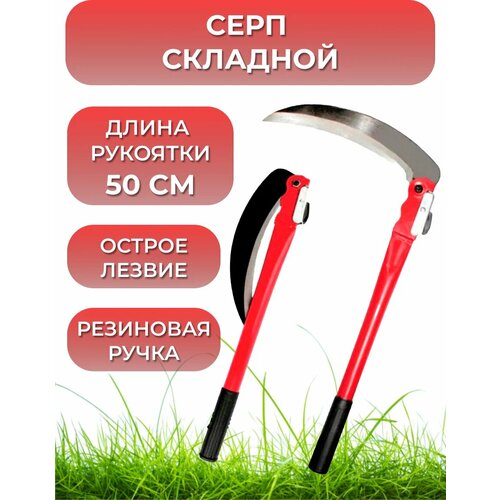 ���� ���� �������� ������, ������ �� 419 ���