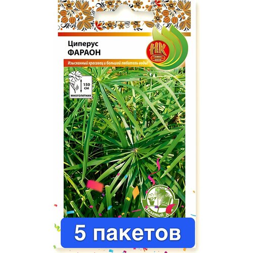 ���� ����� ������� ������ 5 �������, ������ �� 920 ���