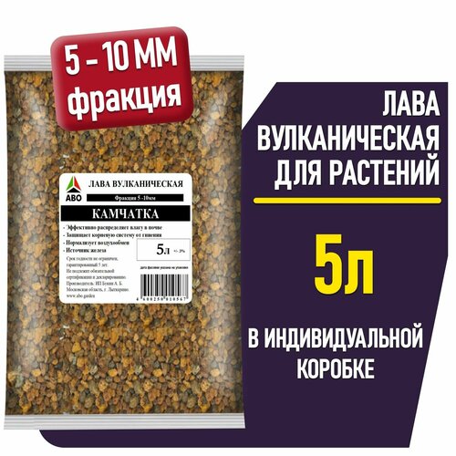     ,   , ,    5-10 ABO 5 .,   1049 